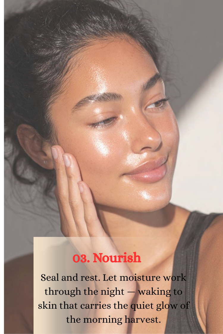 03. Nourish — Seal and rest